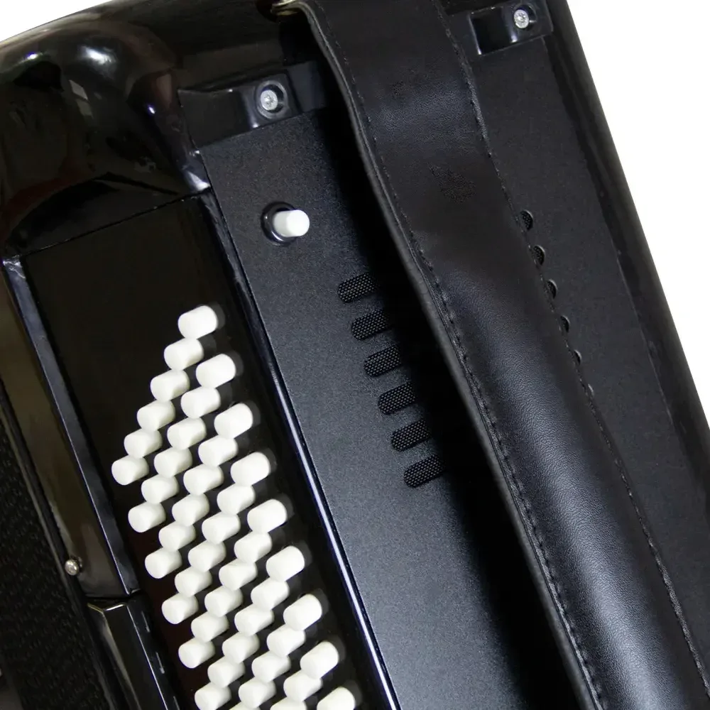 Acordeon Todeschini YW827 de 120 baixos e 41 teclas preto — foto 3 de 4
