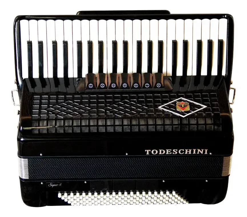 Acordeon Todeschini YW827 de 120 baixos e 41 teclas preto — foto 1 de 4
