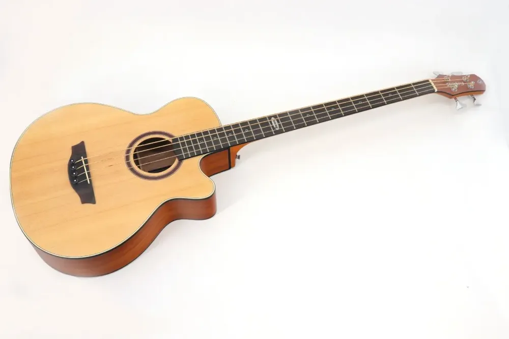 Baixolão eletroacústico Strinberg SB240C — foto 4 de 4