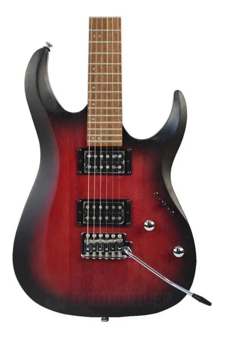 Cort X100 — corpo com os dois humbuckers e braço do tremolo — foto 2 de 5
