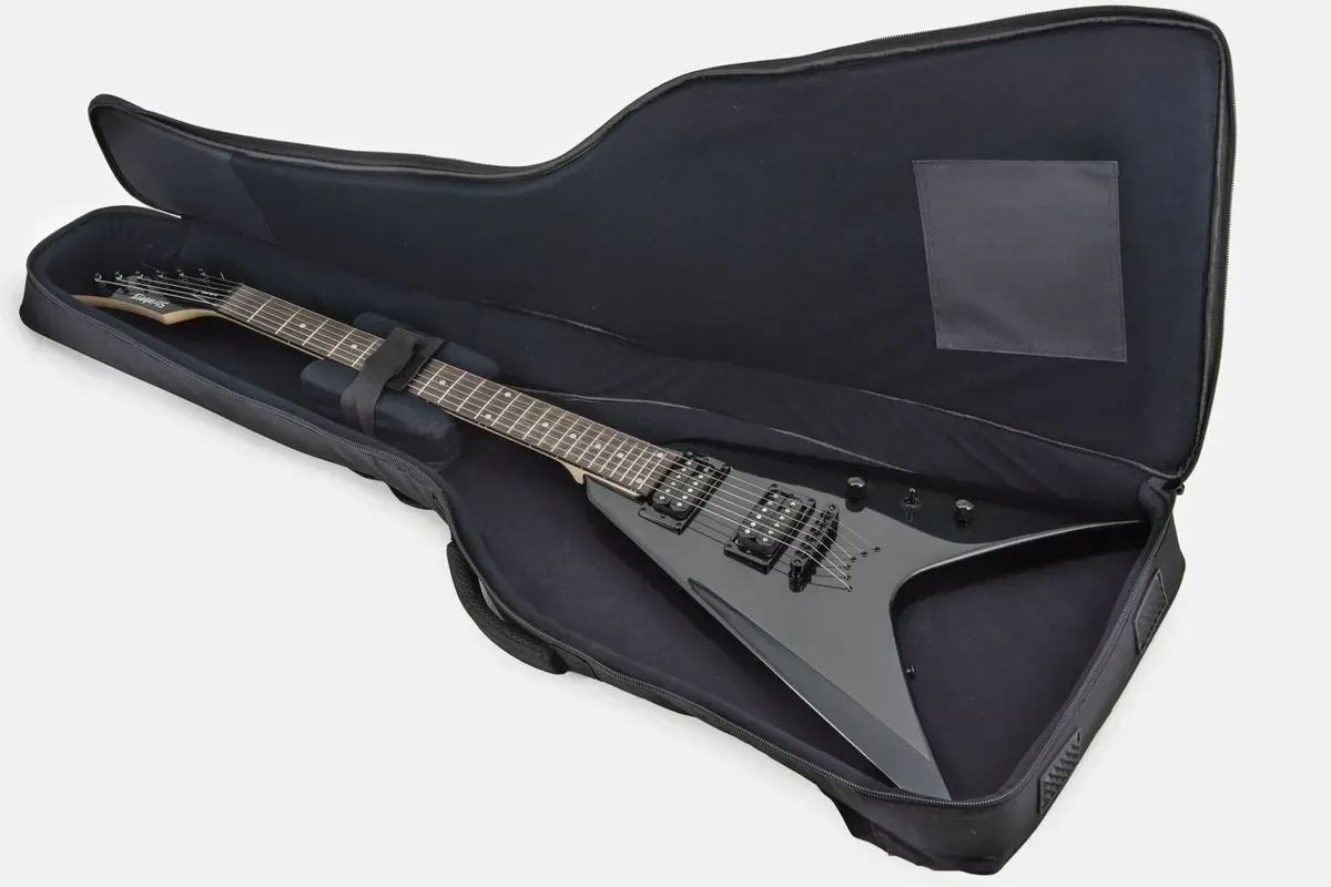 Strinberg FVS-450 dentro da bag que acompanha o produto — foto 5 de 5