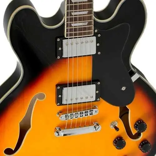 Strinberg SHS-300, close nos dois captadores humbucker e no f-hole — foto 4 de 5