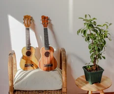 Como Afinar Ukulele