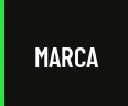 Guitarra Waldman E Boa