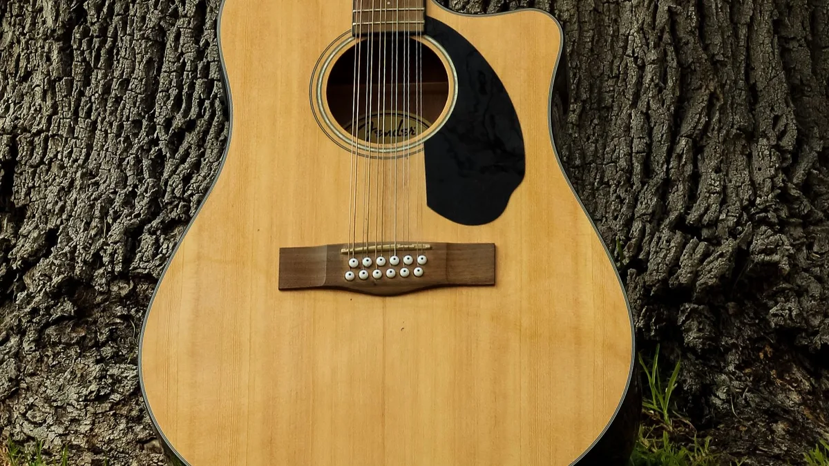 corpo de um violão 12 cordas com cutaway em detalhe, mostrando a boca e o cavalete com doze pinos